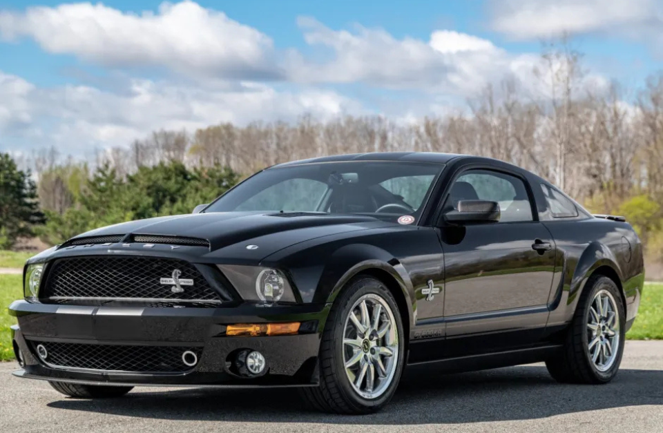 Untitled design (11)